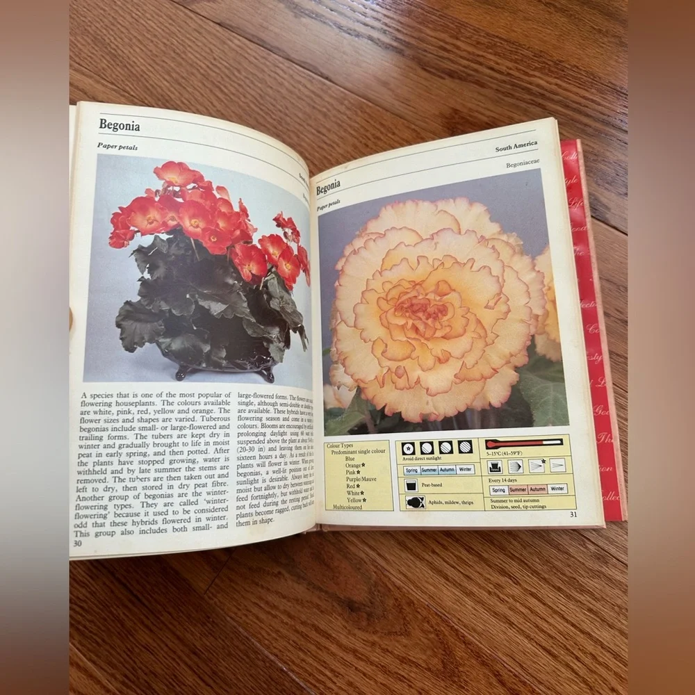 Vintage Spain Flowering Indoor Plants Book